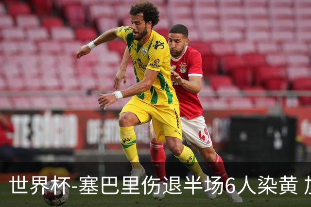 世界杯-塞巴里伤退半场6人染黄 加拿大半场0-0摩洛哥