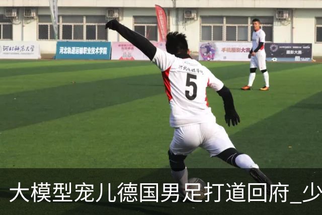 大模型宠儿德国男足打道回府 少了人性观察数据等于废纸