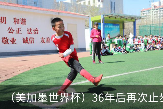 （美加墨世界杯）36年后再次止步16强 巴西距“六星之梦”仍遥远